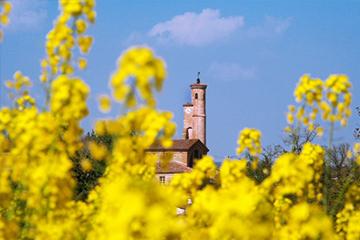 Panorama des communes idéales pour faire construire votre maison près de Toulouse